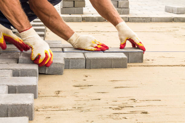Best Driveway Pavers Near Me  in Lewisburg, KY